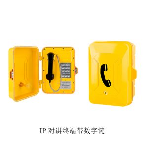 IP对讲终端带数字键