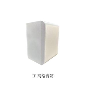 IP网络音箱